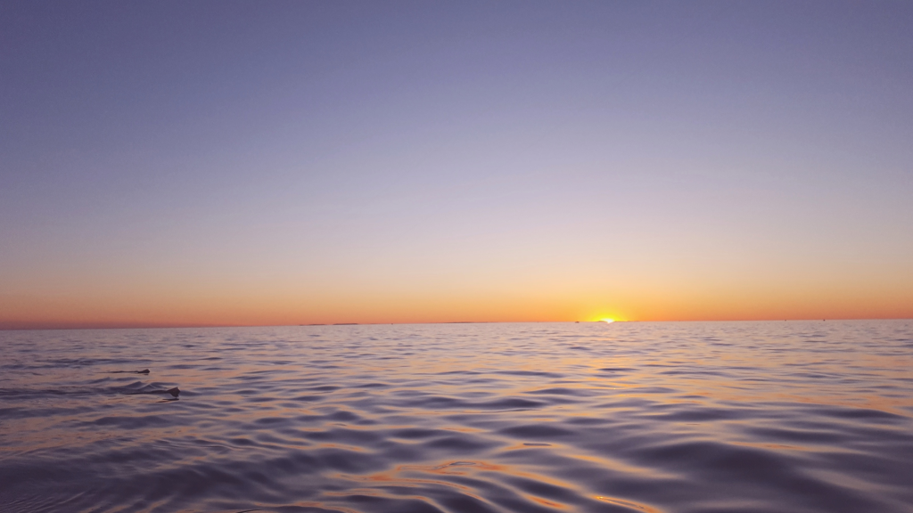 IMG_20170605_113700_194