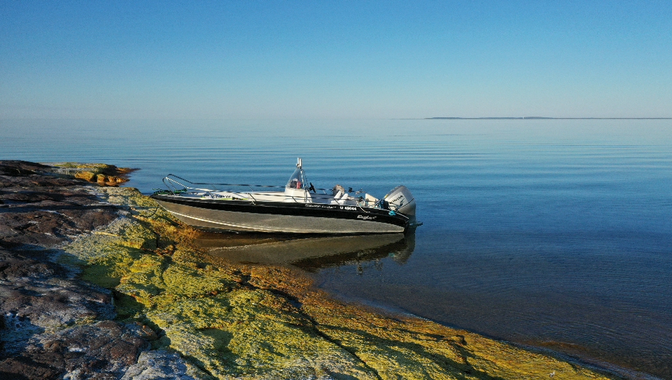 screen_1ba84369db1557be_1592156342000